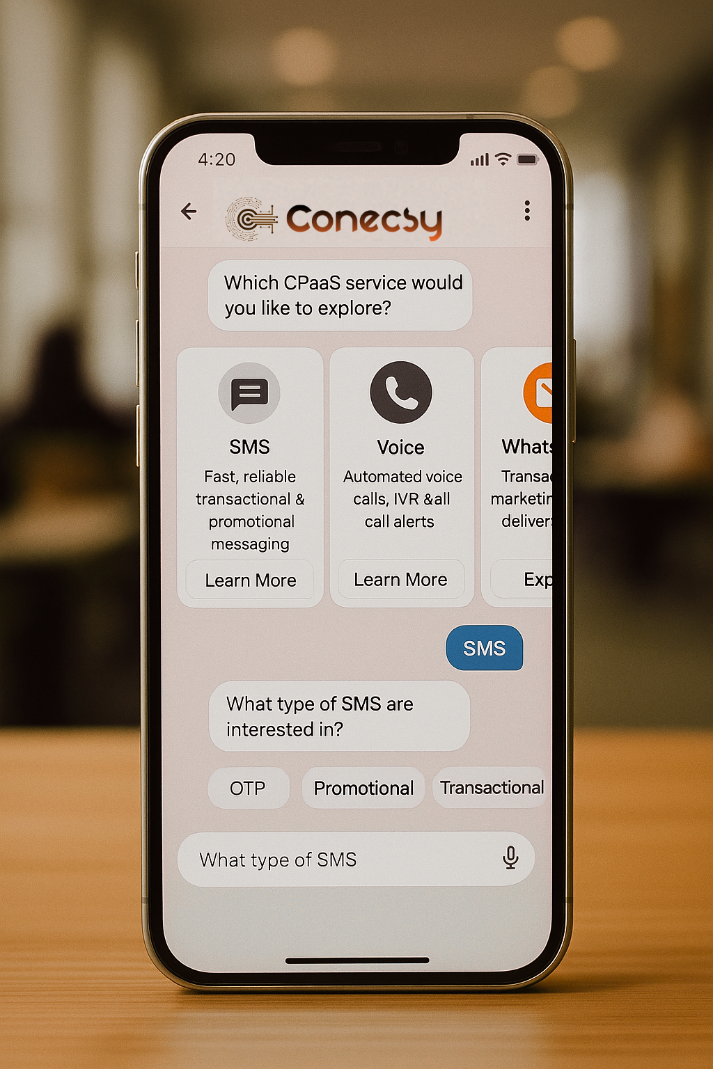 Conecsy CPaaS platform dashboard showing SMS, WhatsApp, Voice and RCS messaging